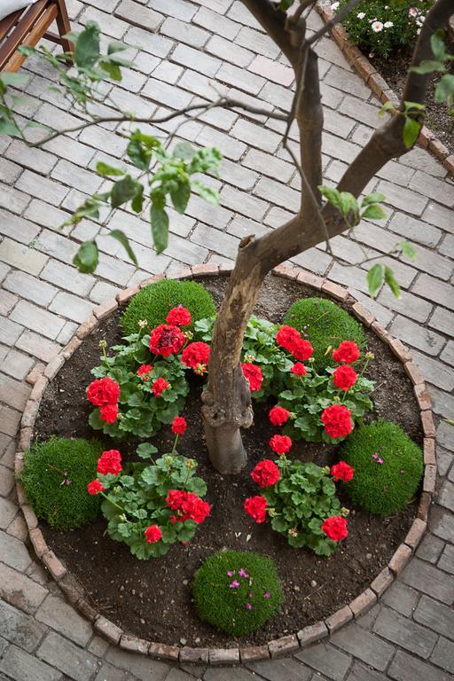 Villa Giannina B&B Taormina Dış mekan fotoğraf
